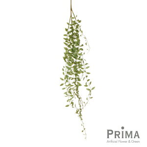 yzfBXLfBA O[ Piԍ  A[eBtBVt[ eco | PRIMA 1{ t[AWg AWg CeA  Xe ԃ[t  Pi