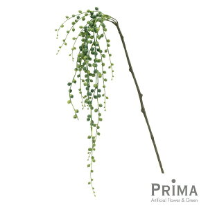 yzO[lbNX Piԍ  A[eBtBVt[ eco | PRIMA 1{ t[AWg AWg CeA  Xe ԃ[t  Pi