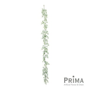 yzWX~K[h Piԍ  A[eBtBVt[ eco | PRIMA 1{ t[AWg AWg CeA  Xe ԃ[t  Pi