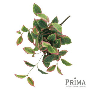 yzAOIl} Piԍ  A[eBtBVt[ eco | PRIMA 1{ t[AWg AWg CeA  Xe ԃ[t  Pi