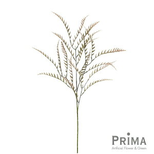 yzOrA Piԍ  A[eBtBVt[ | PRIMA 1{ t[AWg AWg CeA  Xe ԃ[t  Pi