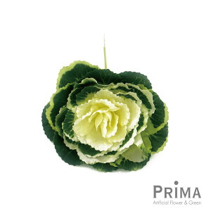 yz~jtO Piԍ  A[eBtBVt[ | PRIMA 1{ t[AWg AWg CeA  Xe ԃ[t  Pi