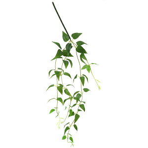 yzLE\E Piԍ  A[eBtBVt[ | PRIMA 1{ t[AWg AWg CeA  Xe ԃ[t  Pi