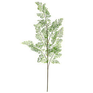 yzAWA^ Piԍ  A[eBtBVt[ | PRIMA 1{ t[AWg AWg CeA  Xe ԃ[t  Pi