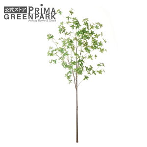 yzhE_ccW } H155cm Piԍ  A[eBtBVt[ eco | PRIMA 1{ t[AWg AWg CeA  Xe ԃ[t  Pi