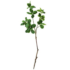 【ポイントUP】【公式】マグノリアリーフ 単品花材 造花 アーティフィシャルフラワー | PRIMA 1本売り フラワーアレンジメント アレンジメント インテリア 装飾 ステム 造花リーフ 高級造花