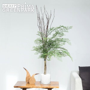 yzAWA^ KXV_[ H105cm ϗtA tFCNO[ | GREENPARK lHϗtA   A C~e[V CeAO[ A[gO[ Mtg v[