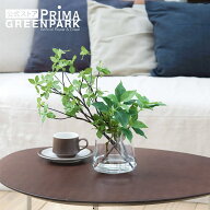 【公式】ブロッサムリーフWaterトラペゾイド 観葉植物 フェイクグリーン【当日出荷】 | GREENPARK 人工観…