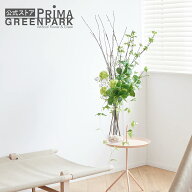【公式】ドウダンツツジ ガラスシリンダー H105cm 観葉植物 フェイクグリーン【当日出荷】 | GREENPARK …