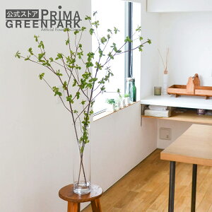 yzhE_ccW EH[^[ H100cm ϗtA tFCNO[yoׁz | GREENPARK ϗt A lH lHA CeAO[ tFCN  hE_ } t[AW