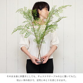 アジアンタム フェイクウォーター H70cm インテリア フェイクグリーン 人工観葉植物 造花 GREENPARK | 観葉植物 観葉 植物 人工 人工植物 インテリアグリーン フェイク おしゃれ ドウダン 枝 フラワーアレンジメント