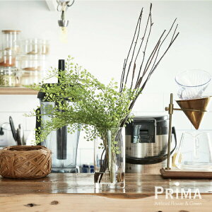 yzAWA^ EH[^[ H46cm ϗtA tFCNO[ | GREENPARK lHϗtA   A C~e[V CeAO[ A[gO[ Mtg v[g j