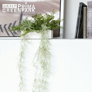 yzXpjbVX IO[ ϗtA tFCNO[ | GREENPARK lHϗtA   A C~e[V CeAO[ A[gO[ Mtg v[g 