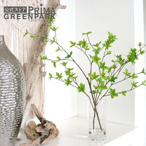 楽天市場】フェイクグリーン ガラス（人工観葉植物｜造花・人工観葉 