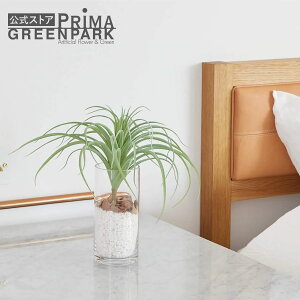 yz`WA KXV_[ H31cm ϗtA tFCNO[ | GREENPARK lHϗtA   A C~e[V CeAO[ A[gO[ Mtg v[g 