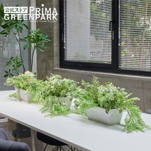 yzJE^[p[e[V Low 3Zbg ϗtA tFCNO[ | GREENPARK lHϗtA   A C~e[V CeAO[ A[gO[ ItBX d