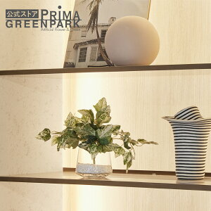 y|CgUPzyzACr[ KXgy]Ch ϗtA tFCNO[ eco | GREENPARK lHϗtA   A C~e[V CeAO[ A[gO[ Mt