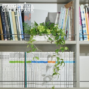 yzLE\E IO[ ϗtA tFCNO[ | GREENPARK lHϗtA   A C~e[V CeAO[ A[gO[ Mtg v[g j