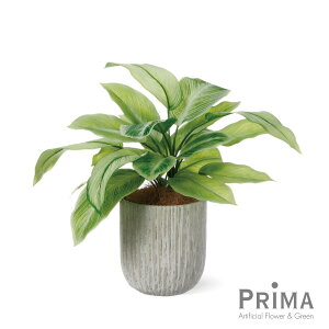 yzfBtFoLA IxX|bgM ϗtA tFCNO[ eco | GREENPARK lHϗtA   A C~e[V CeAO[ A[gO[ Mtg v[