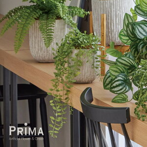 yzfBXLfBA IxX|bgS ϗtA tFCNO[ eco | GREENPARK lHϗtA   A C~e[V CeAO[ A[gO[ Mtg v[