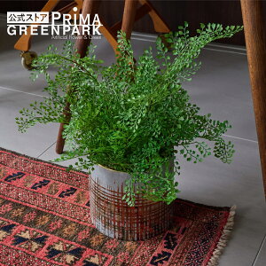 yzAWA^ GNg|bgM ϗtA tFCNO[ | GREENPARK lHϗtA   A C~e[V CeAO[ A[gO[ Mtg v[g 