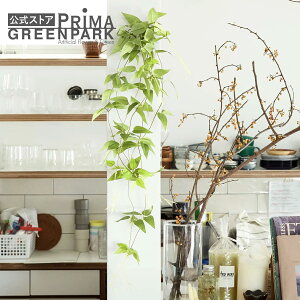 yzLE\E tC[t ϗtA tFCNO[ | GREENPARK lHϗtA   A C~e[V CeAO[ A[gO[ Mtg v[g 