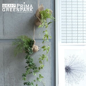 yzLnMOO[ 2ZbgB ϗtA tFCNO[ | GREENPARK L EL  Ǌ| ǖ  鐫  A CeAO[ tFCN