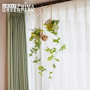 yzLnMOO[ 2ZbgC ϗtA tFCNO[| PRIMA GREENPARK tFCNt[ CeA EH[t[ t[[X XbO Mtg EH[fR ǖ 