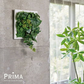 アイビー×ベリー フレーム 観葉植物 フェイクグリーン eco| PRIMA GREENPARK フェイクフラワー インテリア ウォールフラワー フラワーリース スワッグ ギフト ウォールデコ 壁面 壁 おしゃれ ディスプレイ