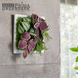 yzXL_vTX×REX t[ ϗtA tFCNO[ | GREENPARK tFCNt[ CeA EH[t[ t[[X XbO Mtg EH[fR ǖ  