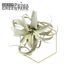 yzwLTS `WA ϗtA tFCNO[ | GREENPARK tFCNt[ CeA EH[t[ t[[X XbO Mtg EH[fR ǖ   fB