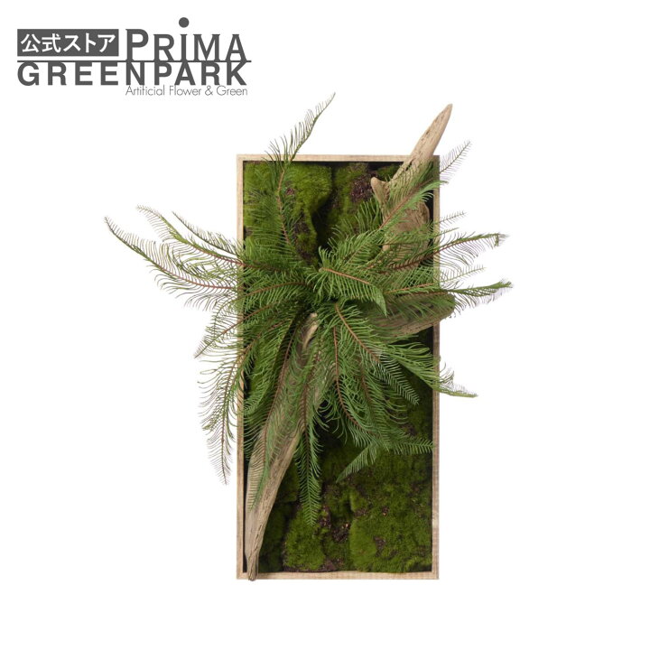 楽天市場】【公式】流木 苔フレーム シダ 観葉植物 フェイクグリーン 