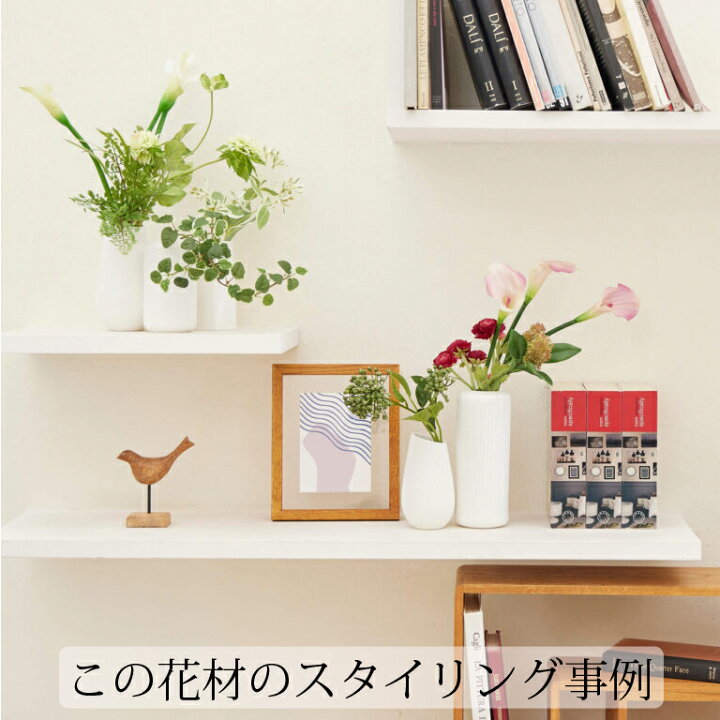 楽天市場 アーティフィシャルフラワー 造花アジアンタム グリーン 単品花材 アーティフィシャルフラワー Prima 観葉植物 人工 インテリアグリーン フラワーアレンジメント 枝 葉 実 インテリア フェイクグリーン Prima Greenpark