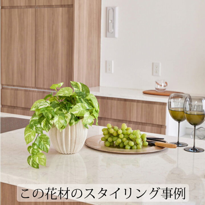 楽天市場 アーティフィシャルフラワー 造花ポトス 白紋入り ライトグリーン 単品花材 Prima おしゃれ 春 インテリア 店舗装飾 ディスプレイ アートフラワー 枯れない花 花飾り 季節 Prima Greenpark