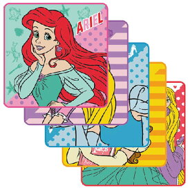 ディズニー DISNEY プリンセス タオルハンカチ 20cm ハンドタオル ミニタオル 5枚セット かわいい 入園 入学 キャラクター 雑貨 メール便可