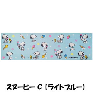 Xk[s[ SNOOPY N[^I 킢 MǑ΍ w ʊw ʋ LN^[ G