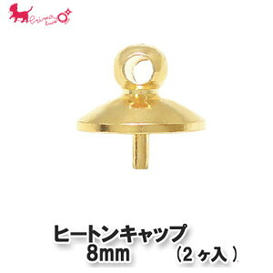 q[gLbv 8mm(2P)@  b q[g ˂ S[h Vo[ ANZT[p[c nhCh  ANZT[ p[c  PRIMA LUCE PLUS v}[`FvX