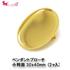 楽天市場 レジン ブローチの通販