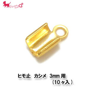 q~@JV@3mmp (10) @JV Ghp[c b  R nhCh  ANZT[ p[c  PRIMA LUCE PLUS v}[`FvX