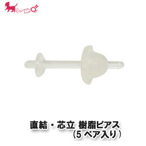 Ec sAX (5yA)@ nhCh mAM[ p[c  AM[ ANZT[ p[c  ڑ PRIMA LUCE PLUS v}[`FvX