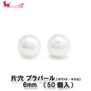 vX`bN p[ Ќ 6mm i50)@ zCg LXJ Ќ ۋ p[c  lbNX CO sAX uXbg ANZT[ PRIMA LUCE PLUS v}[`FvX