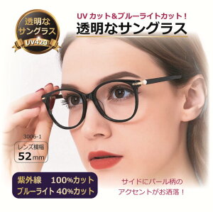 yxȂzȃTOX Y NAY NATOX lC̖ڂɂɒBKl UVJbg u[CgJbg PC ዾ ^TOX BT3006-001BK