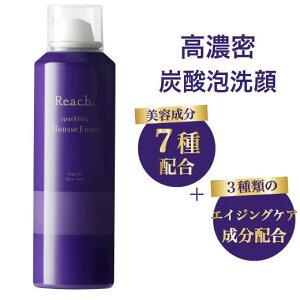 Reach Y_[XtH[ Y_ Xp[NO [XtH[ Y_tH[ 150g Y_A ZA Y_  ь tH[ Y_A 玉 e͖A 痿 pbN XLPA CO2 ZxY