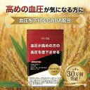 血圧 GABA サプリ 血圧GABAサポート 高めの 血圧を下げる ギャバ配合 プライム製薬 送料無料 機能性表示食品 1日1粒 1ヶ月分 30日分