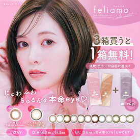 【2+1】【3箱購入で1箱無料】フェリアモワンデー(Feliamo 1day)【1箱10枚入】ワンデー カラコン 1日使い捨て カラコン カラーコンタクト 度あり 度なし 全10色 1箱無料 UVカット 高含水 高度数 白石麻衣 まいやん ナチュラル バレない 裸眼風 大人 高度数 送料無料