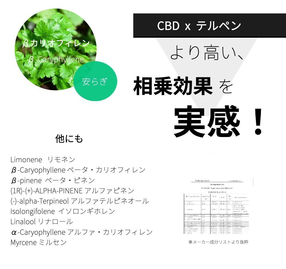 楽天市場】【SALE40%OFFクーポン有】terpender CBD リキッド 20% 10ml ...