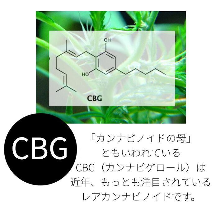 楽天市場】【最大半額!!2buy50％OFFクーポン配布中】CBG アイソレート 