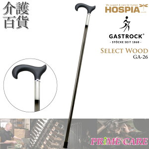 XebL y 20OFF z   PCEzXsA KXgbN SELECT WOOD GA-26 (10700058) { hCc Gastrock    ؐ IV fG  Oo o I 