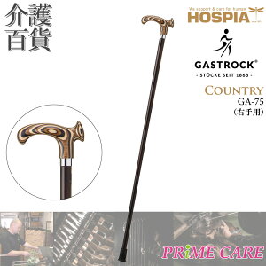 XebL y 20OFF z   PCEzXsA KXgbN COUNTRY GA-75 Ep (10700037) { hCc Gastrock    IV  fG  Oo o 