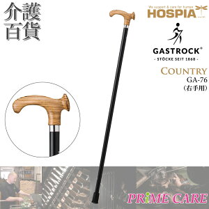 XebL y 20OFF z   PCEzXsA KXgbN COUNTRY GA-76 Ep (10700038) { hCc Gastrock    IV  fG  Oo o 